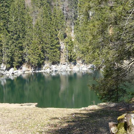Pension Huettwirt Kössen Dış mekan fotoğraf